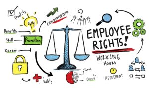 5 Common Employment Law Violations
